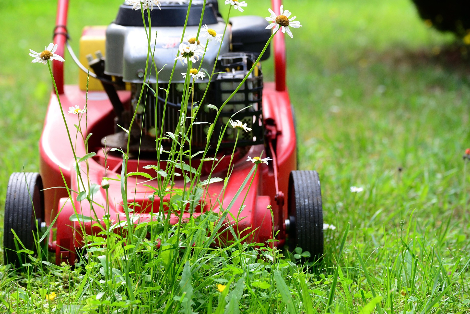 lawn-mower-5329533_1920